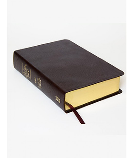 XOS - Bible - The New Inductive Study Bible-ESV-Genuine Leather - Burgundy