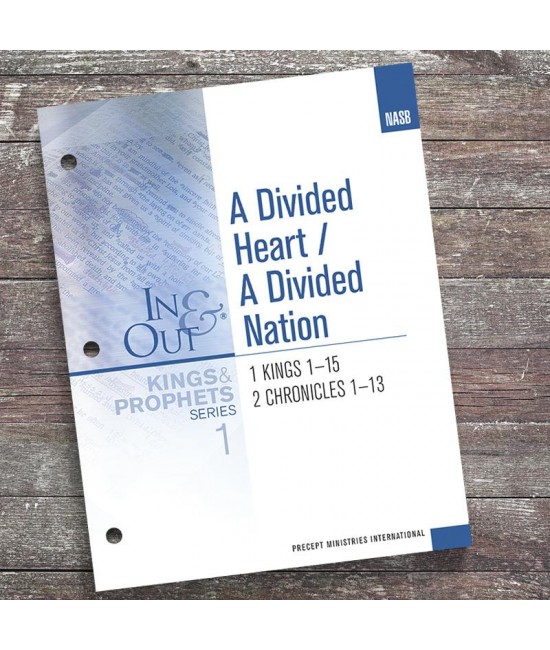 NASB KP 1 In Out A Divided Heart A Divided Nation Workbook  1 Kings  Prophets 