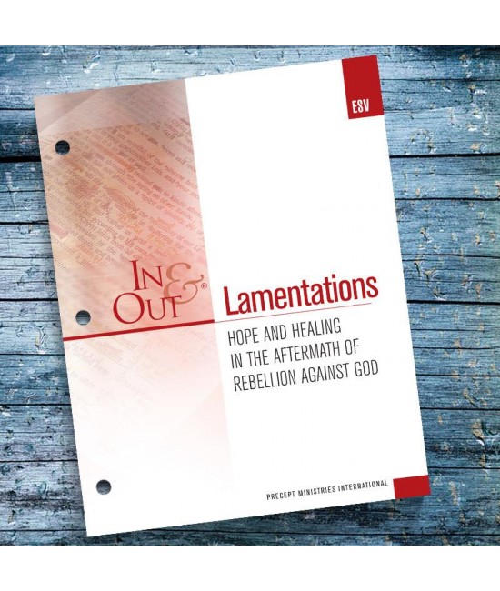 ESV Lamentations In  Out Workbook 