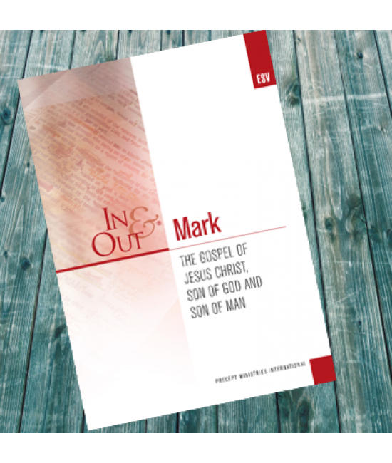 #75146 - IO - MARK In & Out WORKBOOK
