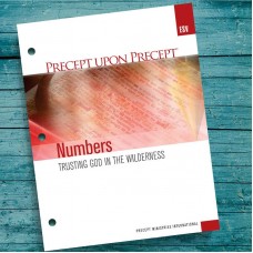 ESV Numbers Precept Workbook 