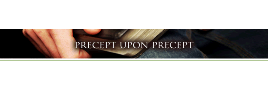 Precept Upon Precept (PUP)